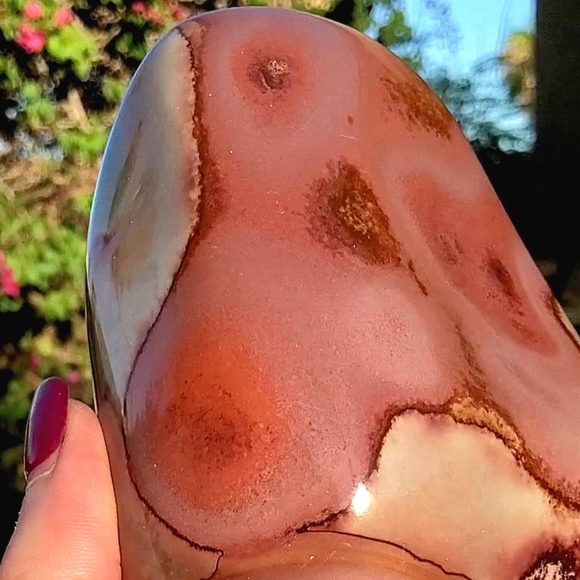 Stunning Rare Daliesque Polychrome Jasper Free Form - Picture 11 of 13